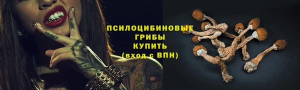амф Алексин