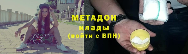 прущие грибы Алексеевка