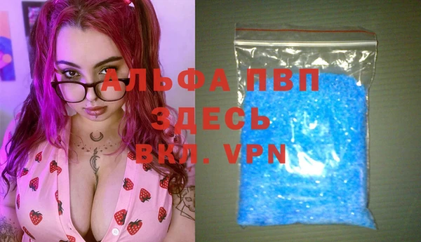 Альфа ПВП Инсар